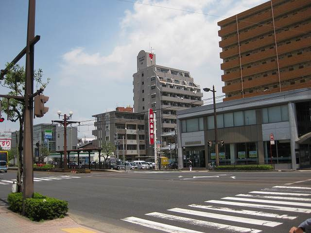 517画像